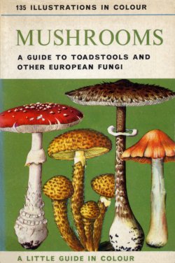 Mushrooms Little Guide