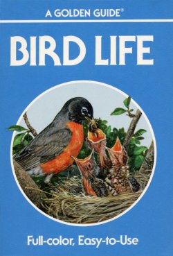Bird Life Golden Guide