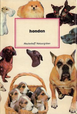 Dutch Dogs Golden Guide