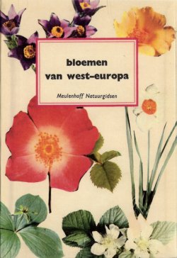 Dutch Flowers Golden Guide