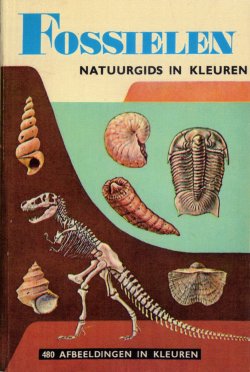 Dutch Fossils Golden Guide