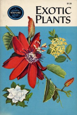 Exotic Plants Golden Guide