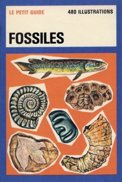 French Fossils Le Petit Guide