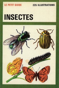 Insects Le Petit Guide