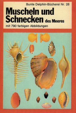 German Seashells Golden Guide