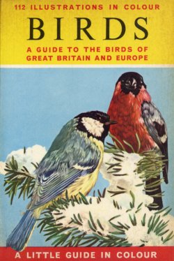 Birds Little Guide