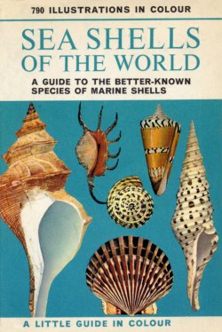 British Seashells Golden Guide