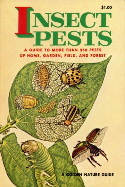 Insect Pests Golden Guide