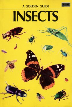 Insects Golden Guide