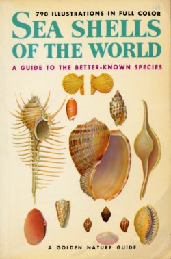 Seashells Golden Guide