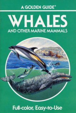Whales Golden Guide
